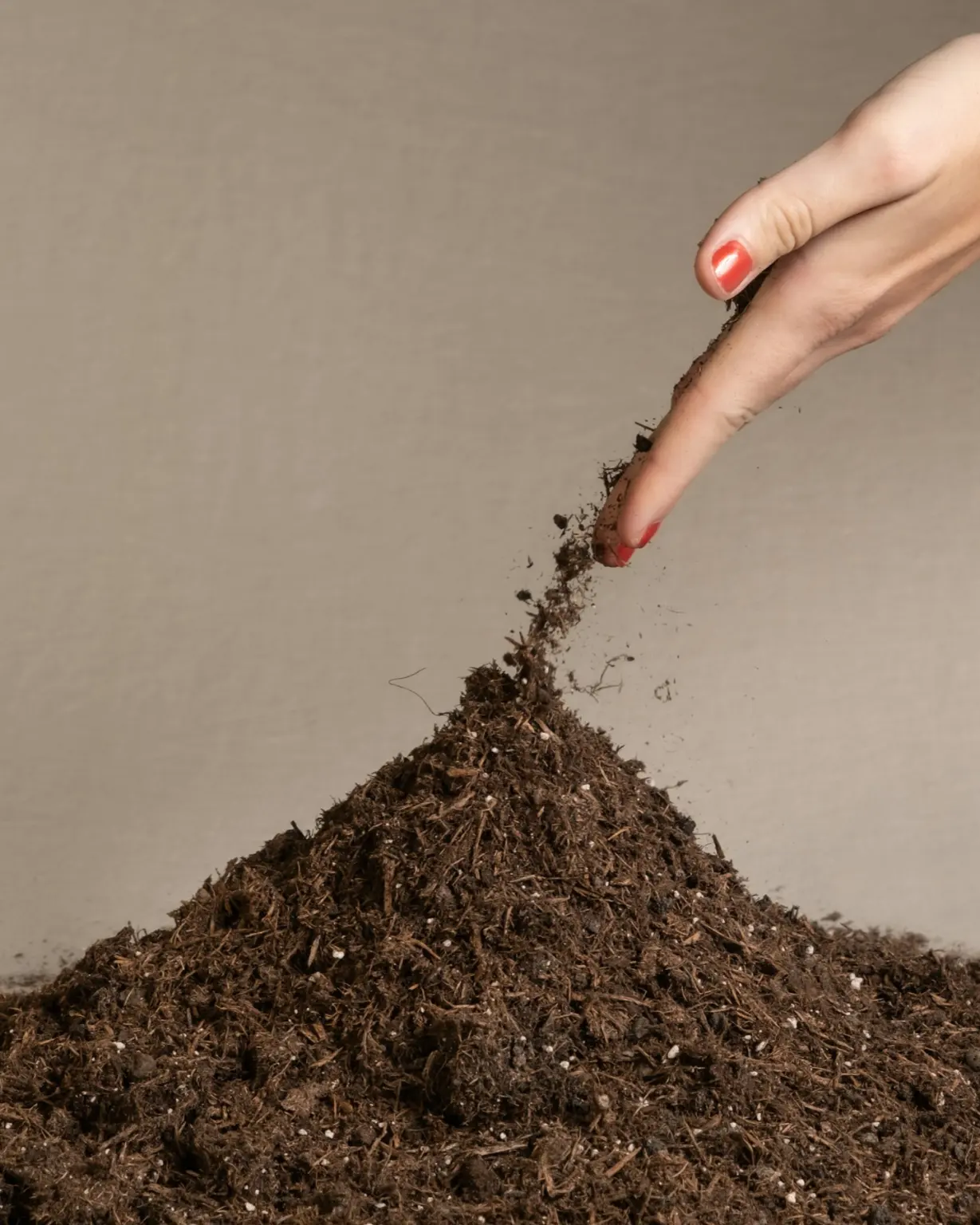 A pile of dark potting mix